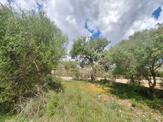 Landgut in Sant Llorenç des Cardassar. ?? finca rústica en son pi – sant llorenç des cardassar