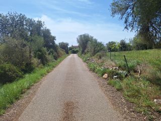 Finca rústica a Sant Llorenç des Cardassar