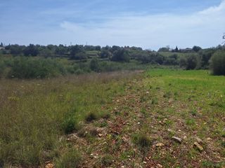 Finca rústica a Sant Llorenç des Cardassar