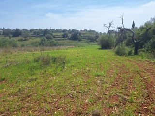 Landgut in Sant Llorenç des Cardassar. ?? finca rústica en son pi – sant llorenç des cardassar