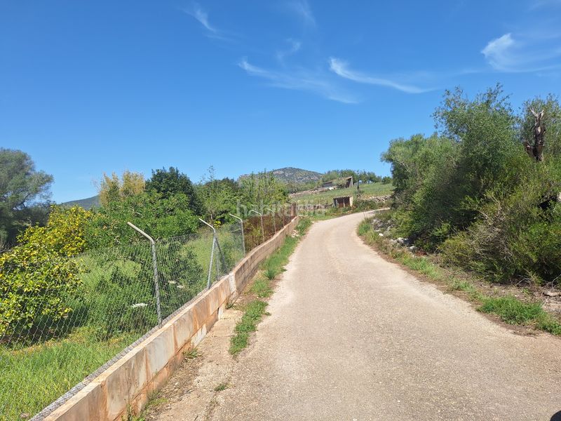 Foto 735ba203-1b32-4ef6-8389-956a87c06e4c. Fondo rustico in Sant Llorenç des Cardassar