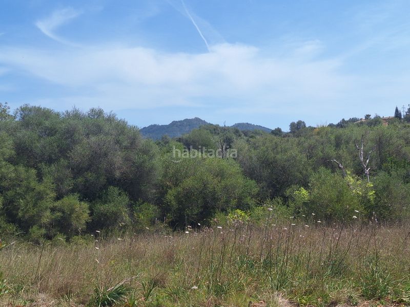 Foto db162996-4280-4ca7-b2b0-c5fdcb185ac2. Fondo rustico in Sant Llorenç des Cardassar