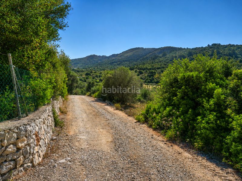 Foto 7926d365-0998-4388-9299-3763a53068bd. Casale con camino parcheggio in Sant Llorenç des Cardassar