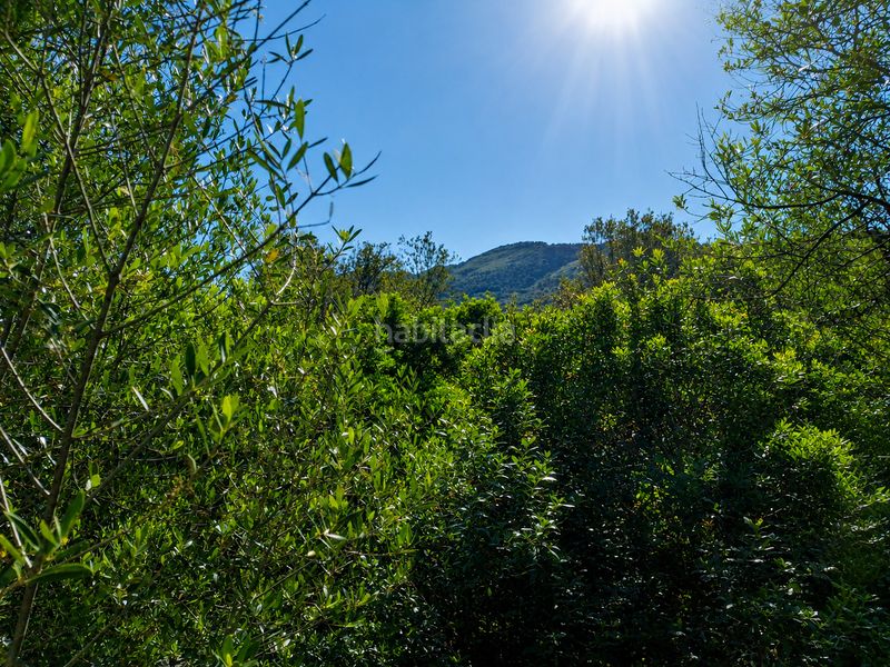 Foto bbc0a014-b3d1-4662-8a20-89c4bfe55d8c. Casale con camino parcheggio in Sant Llorenç des Cardassar
