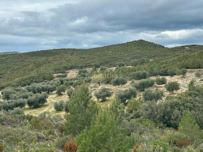 Foto 002e31eb-6d73-46b5-a421-a75984d243fc. Finca rústica terreno rústico con opción construcción masía en Biure