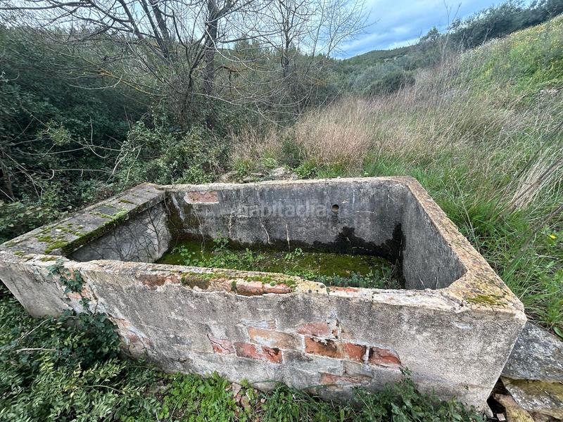 Foto 00455955-5b74-447d-8041-c8db3a11d280. Finca rústica terreno rústico con opción construcción masía en Biure