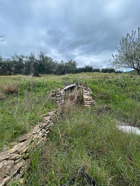 Foto 740bdd0a-5db4-4aa4-921a-2ba312c7987c. Finca rústica terreno rústico con opción construcción masía en Biure