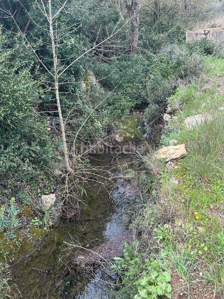 Foto 7f79913a-fcc9-4533-9a2d-89f00813fbbf. Finca rústica terreno rústico con opción construcción masía en Biure