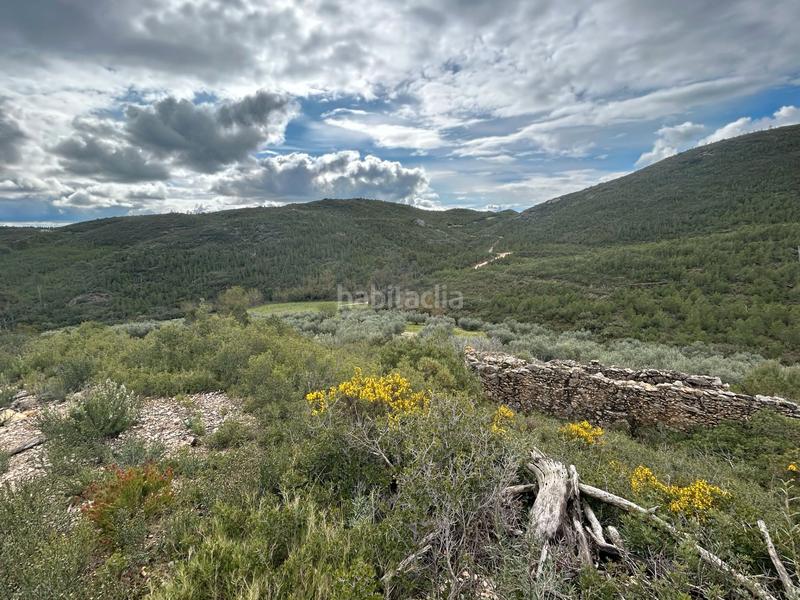 Foto 8320ba3b-ef05-4ee2-a360-2f2adf8d23e6. Finca rústica terreno rústico con opción construcción masía en Biure