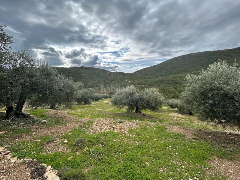 Foto 8e3b1194-5e6b-4fdd-a2c0-1f22dcf9453c. Finca rústica terreno rústico con opción construcción masía en Biure