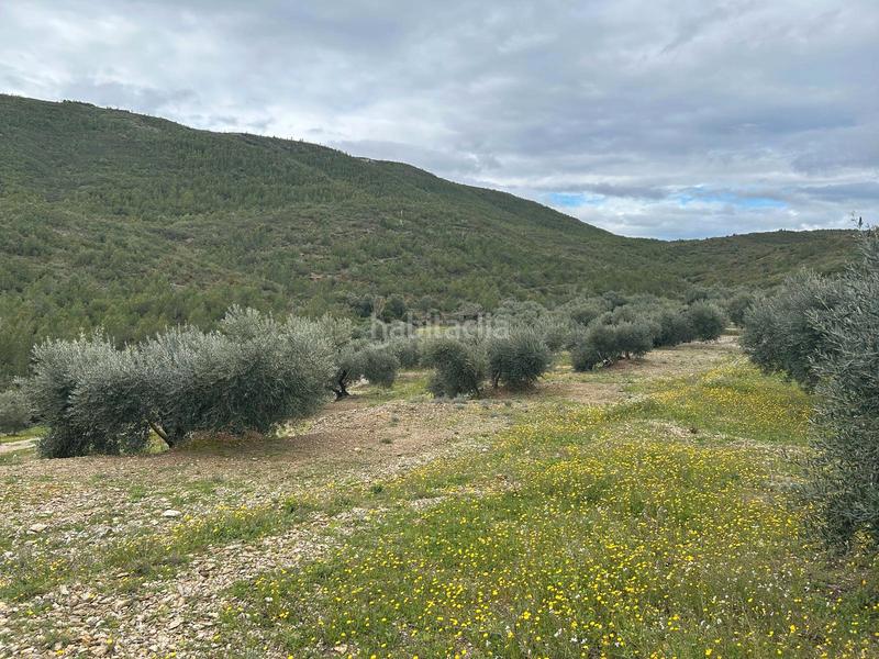 Foto ab6ef0da-ffb8-4f53-8501-0a6cb3244b11. Finca rústica terreno rústico con opción construcción masía en Biure