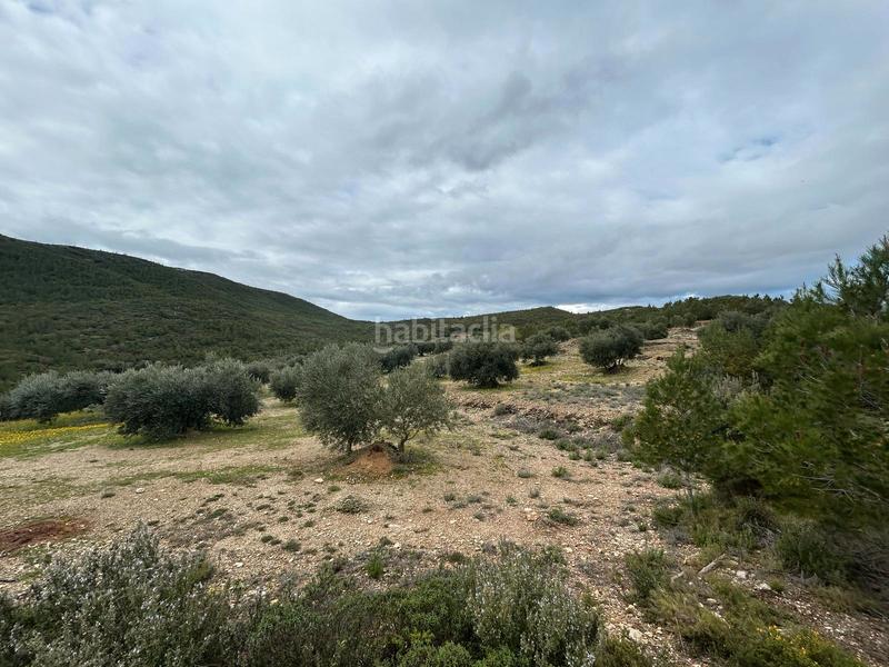Foto b0a7abb8-b79a-4e64-95b0-c1d6b9aecd0a. Finca rústica terreno rústico con opción construcción masía en Biure