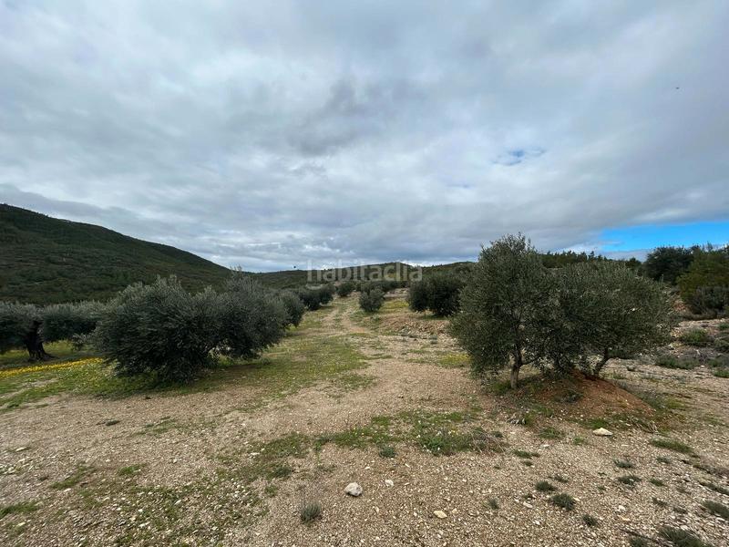 Foto ba26aa1e-ed20-4d71-8a15-87f7e57aa132. Finca rústica terreno rústico con opción construcción masía en Biure