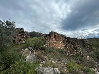 Finca rústica a Biure. Terreno rústico con opción construcción masía