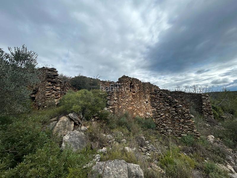 Foto cfe22a10-b0eb-419f-a22d-bb91ef34a74c. Finca rústica terreno rústico con opción construcción masía en Biure