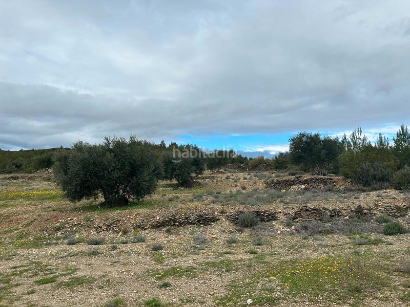 Foto facd3cb6-c9da-4e60-95dc-8399ecdffc2e. Finca rústica terreno rústico con opción construcción masía en Biure