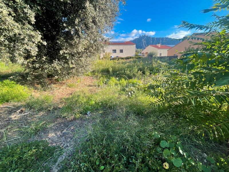 Foto 1af15f36-fdac-4cee-ae04-5d782883c541. Wohngrundstück in Collbató