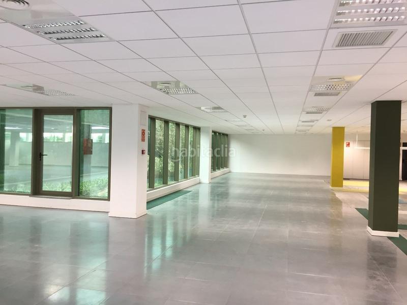Foto ea6b0192-6bc3-49d4-acf0-38e4c72016c1. Location bureau dans camí de can camps 13 dans Bellaterra