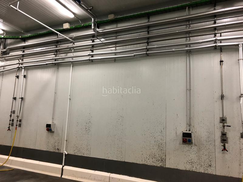 Foto 7c727ddf-9753-466e-bedd-f38e7444c672. Fabrikhalle mit heizung in Zona Franca - Port Barcelona