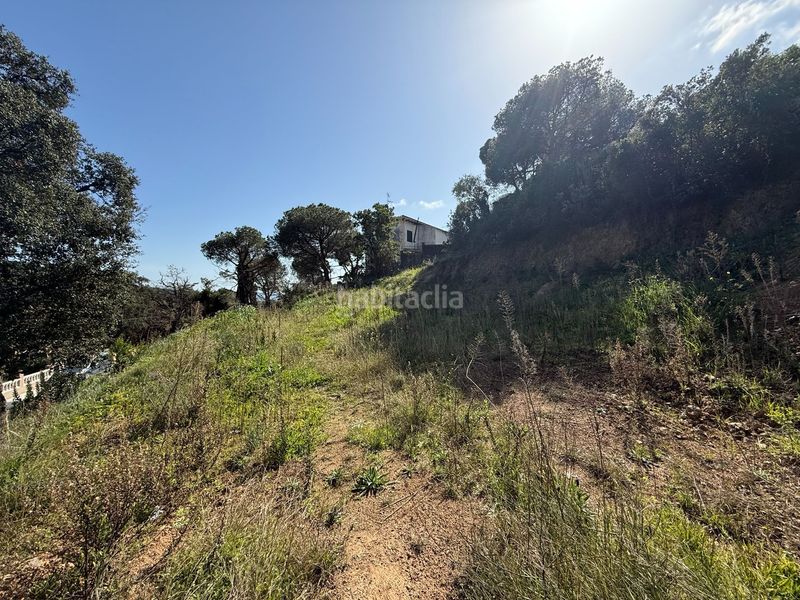 Foto d801c6b1-1afd-4d67-98a4-56ec37769be7. Terreny residencial a valencia 23 a Mas Pere-Río de Oro Calonge