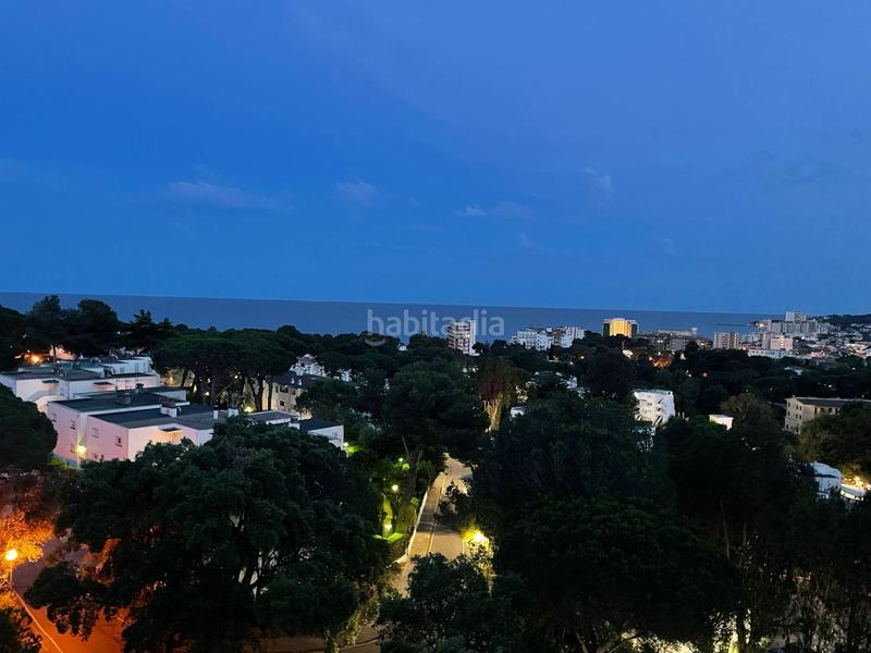 Foto c91882ed-b4e1-4fd7-9294-49030c68ff38. Piccolo appartamento in hortensia 2 in Los Pinos-Politur Platja d´Aro