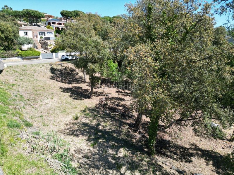 Foto 41298a38-48b1-4ca1-aebf-7f1ab052b927. Terreny residencial a ramon llull 4 a Cabanyes-Mas Ambrós-Mas Pallí Calonge