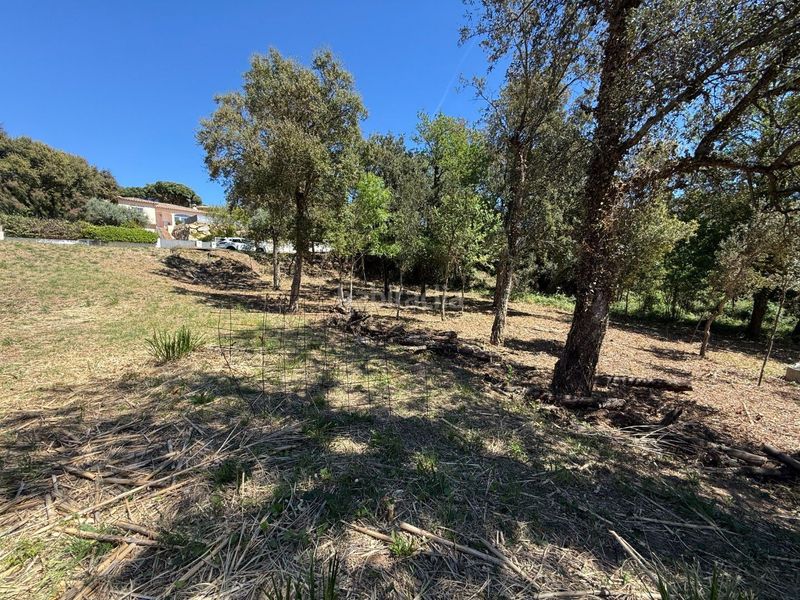 Foto 5174868e-ca99-40bb-9ade-42f930d63b4f. Terreny residencial a ramon llull 4 a Cabanyes-Mas Ambrós-Mas Pallí Calonge