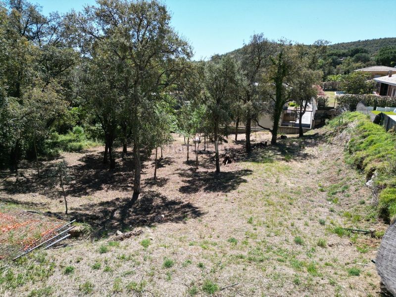 Foto 7a273544-fa8c-4399-bd2c-ae3336f8c1d1. Terreny residencial a ramon llull 4 a Cabanyes-Mas Ambrós-Mas Pallí Calonge