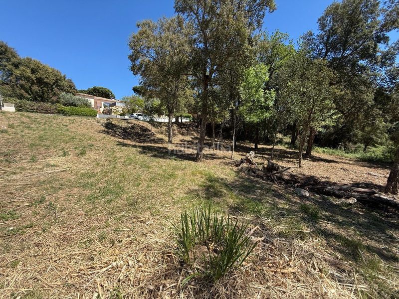Foto addaade4-6dd1-4b1c-a902-c4f94e27acf1. Terreny residencial a ramon llull 4 a Cabanyes-Mas Ambrós-Mas Pallí Calonge