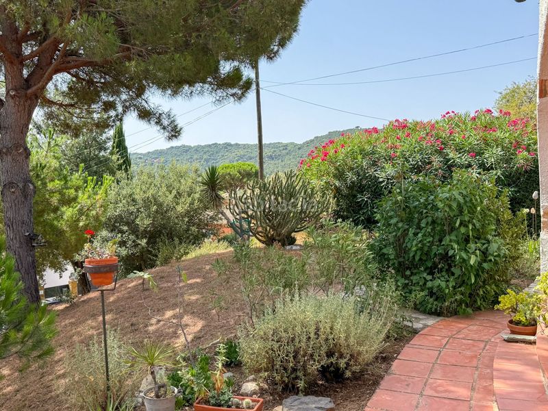Foto 15155fc6-f0de-4dd8-8bd0-7b95f6ce942f. Casa a liverpool 4 a Cabanyes-Mas Ambrós-Mas Pallí Calonge