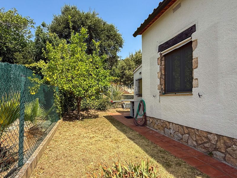 Foto 3b487e52-8225-42e4-99f4-9993ff8503a9. Casa a liverpool 4 a Cabanyes-Mas Ambrós-Mas Pallí Calonge