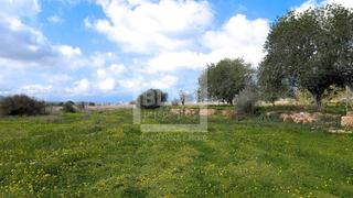 Finca rstica  De sa vorera. Terreno rstico comn entre sant antoni y buscastell