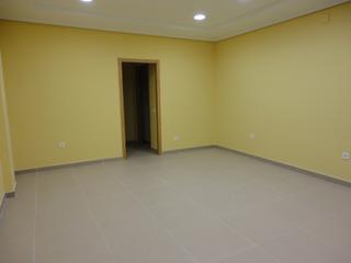 Business premise in Centro