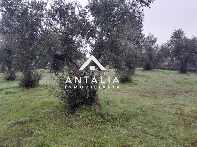 Foto 46476afc-3056-4f76-85ab-4d0ec221c526. Finca rústica a Malpartida de Cáceres