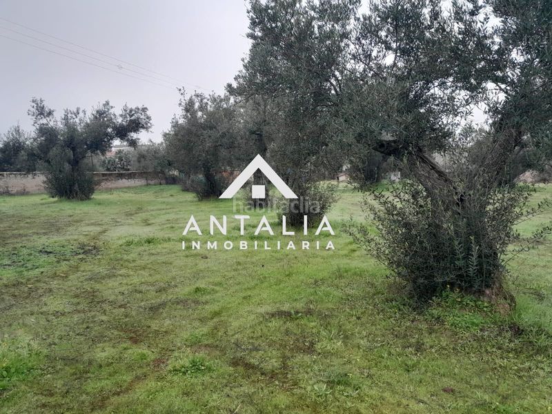 Foto ac9173e5-6e80-4d0c-a2c8-58ea1b025a1c. Finca rústica a Malpartida de Cáceres