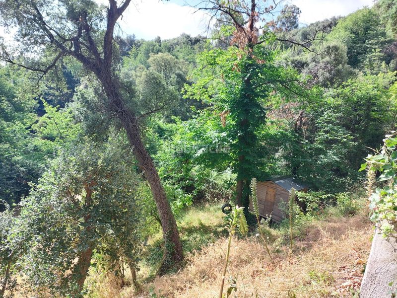 Foto 402482e9-2efe-41a2-9165-7da23b0cc91b. Finca rústica a Tordera Tordera