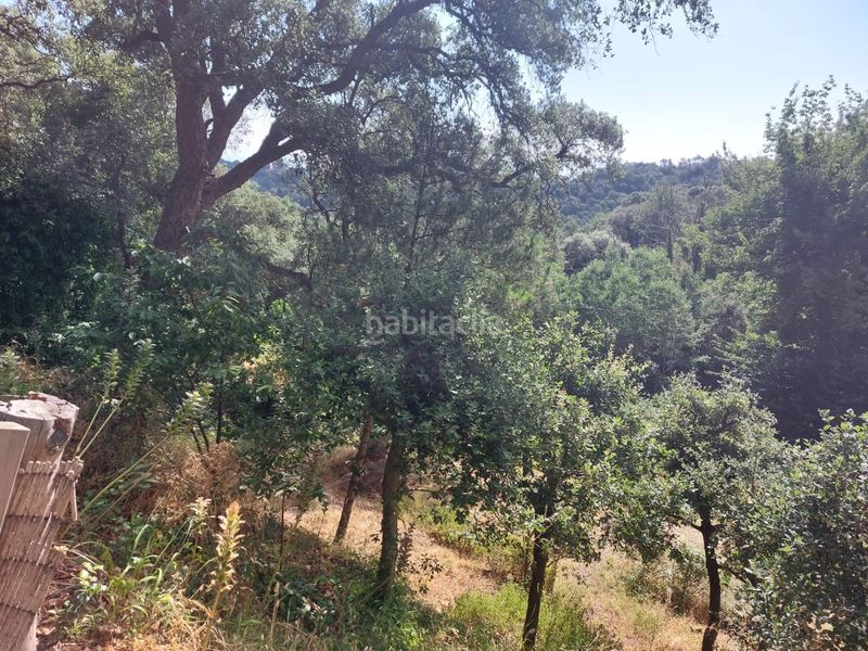Foto b6825730-f9b5-4657-9208-78cd193275a4. Finca rústica a Tordera Tordera