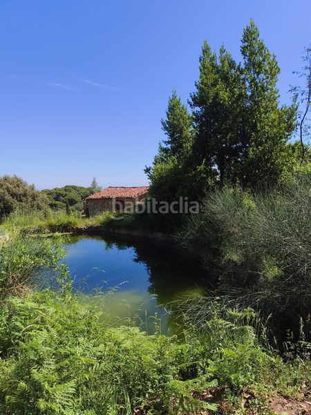 Foto f39b2094-443a-44ea-9d82-3f1b40dca652. Finca rústica a Tordera Tordera