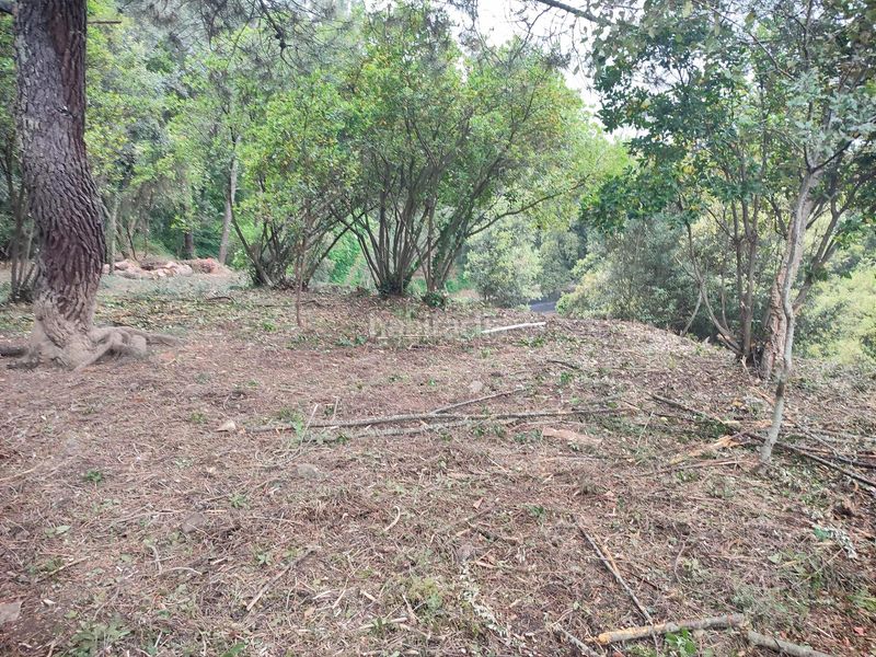 Foto 07deac18-94da-4384-bf61-30172e43f36c. Terreno residenziale in Vallgorguina
