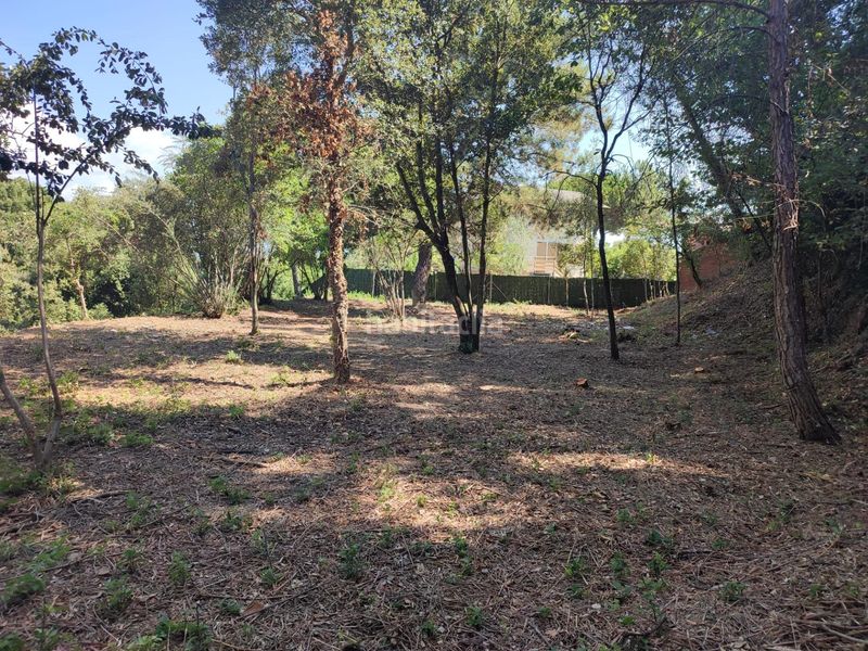 Foto 62e7114c-6e5f-4191-aa1a-e3de6094a99b. Terreno residenziale in Vallgorguina