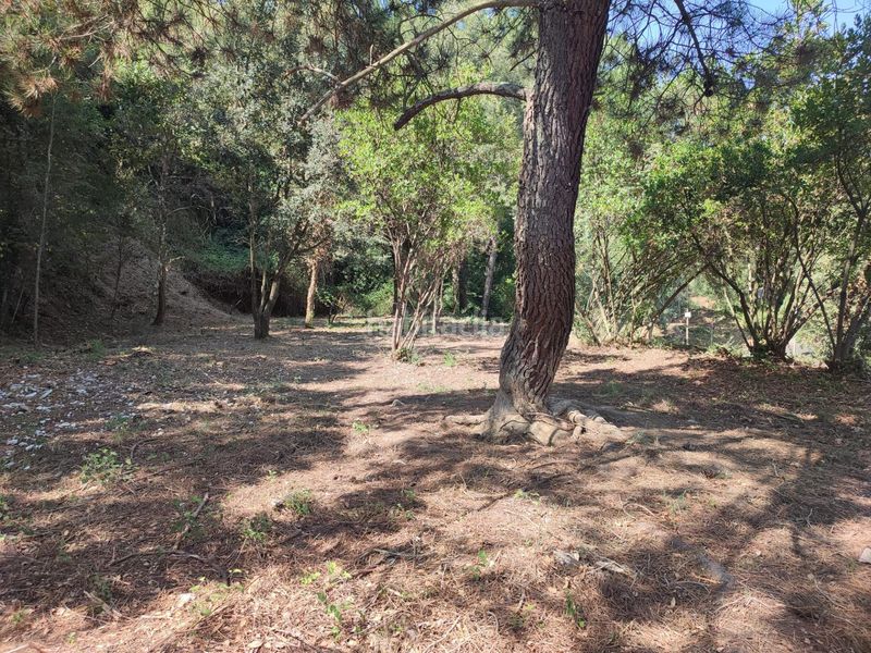 Foto 7225cfbd-8047-40be-baf4-885c2e309646. Terreno residenziale in Vallgorguina
