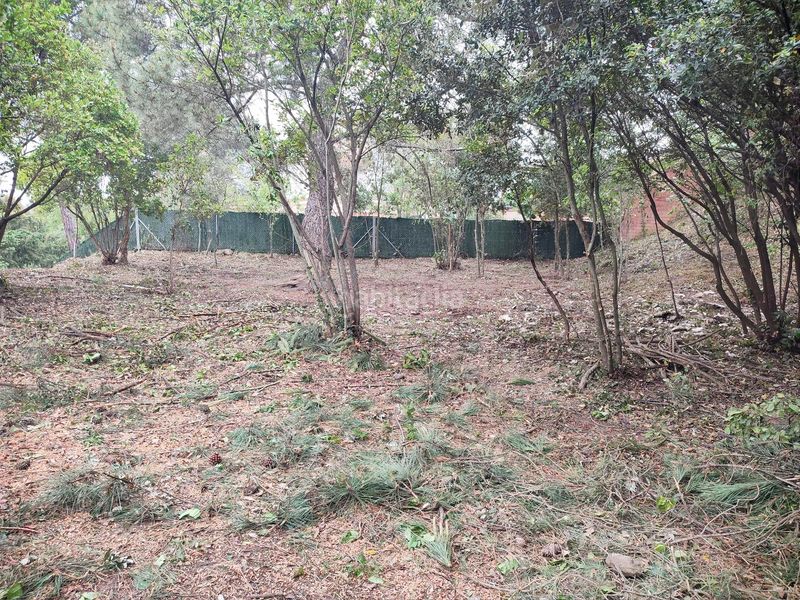 Foto 7d37b2af-7761-4397-8cd3-cfe4140d60c2. Terreno residenziale in Vallgorguina