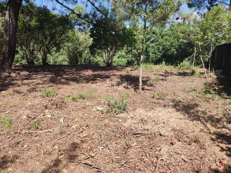 Foto 86b2f815-cc60-4413-bd76-b10c54301c72. Terreno residenziale in Vallgorguina