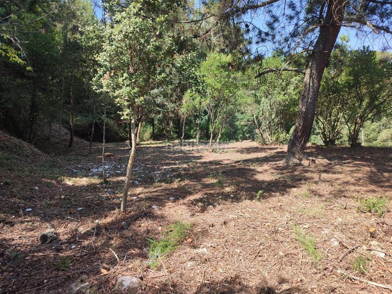 Foto cd0a8cb9-e559-4c5a-888d-56e8dd5f3c9c. Terreno residenziale in Vallgorguina
