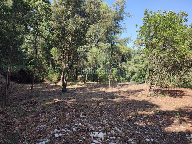 Foto fc54760a-1cbf-4ff3-a556-e09fd7614d22. Terreno residenziale in Vallgorguina