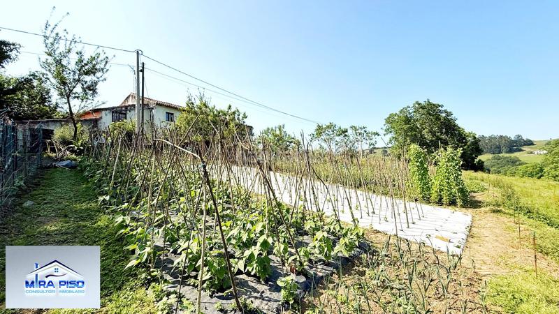 Foto 77c74dee-ce05-4e07-b27e-96da9615ba4a. Casa  pueblo en venta en solorzano, 6 dormitorios. en Solórzano