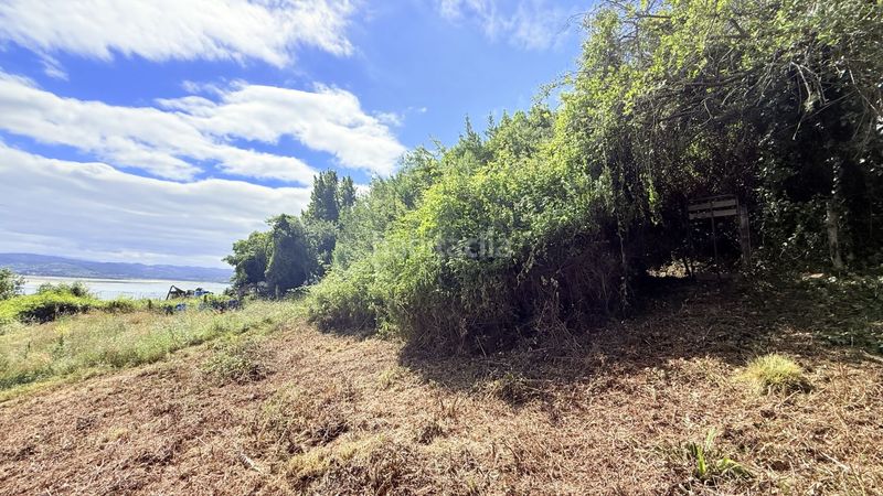 Foto a7562321-7b69-4971-a748-3344962000f3. Masia a Santoña