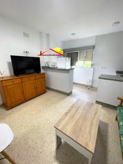 Pis a Centro - Torre de la Higuera. Piso en venta en centro norte  sector h, 1 dormitorio.