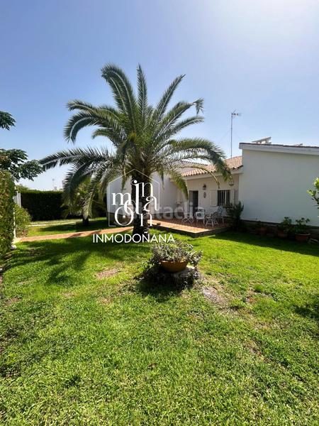 Foto 91aebad0-e0e0-4388-a58f-c943e5254e6a. Xalet amb calefacció aparcament a Centro - Torre de la Higuera Almonte