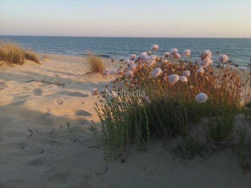 Foto 5a848255-f1af-40e6-9df9-90346e05e0a3. Etagenwohnung in Caño Guerrero Almonte